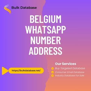 Belgium WhatsApp Number Address