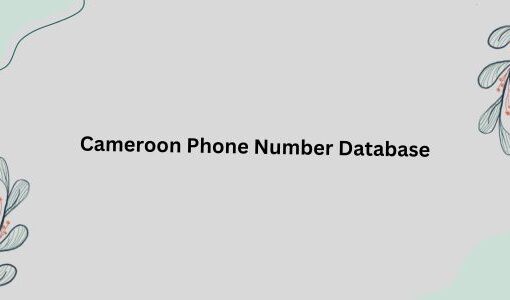 Cameroon Phone Number Database